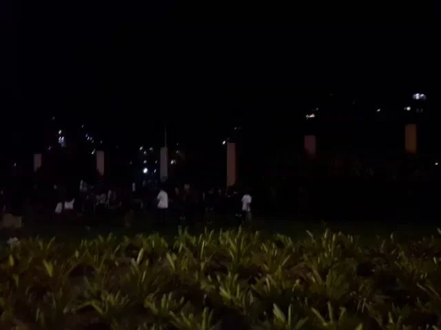 Curta @falario2