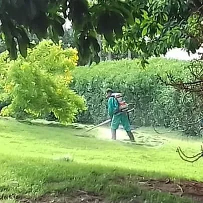 Nosso parque voltou a ter o cuidado merecido.