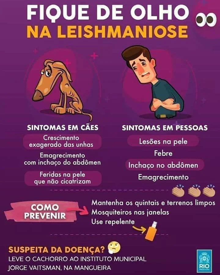 LEISHMANIOSE