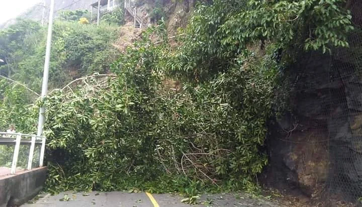 AV NIEMEYER | QUEDA DE ÁRVORE INTERDITA OS DOIS SENTIDOS DA VIA - O Centro de Operações da Prefeitura do Rio informa que a