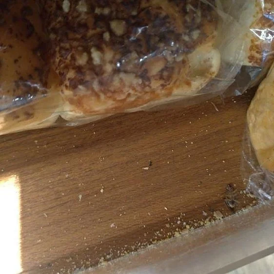 Mais uma vez, recebemos relatos de baratas no @prixlovers