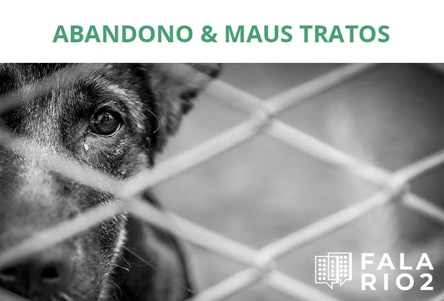 🐕 Como denunciar maus-tratos contra animais?