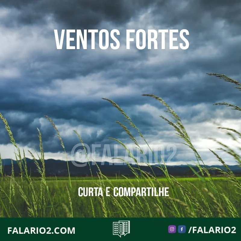 - TEMPO: menor temperatura do ano (até o momento) e ventos poderão ser fortes à tarde; - RESSACA: ondas de até 3m de altura