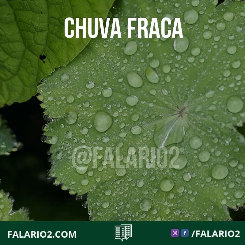 TEMPO AGORA E PRÓXIMAS HORAS