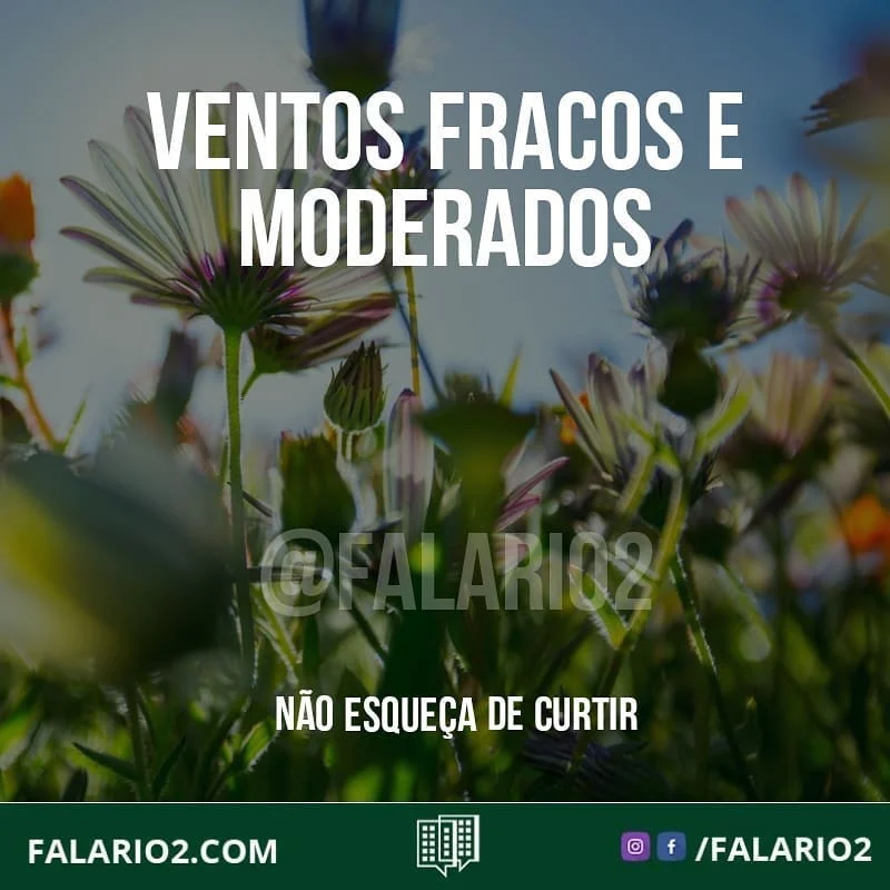 PREVISÃO DE VENTOS FRACOS A MODERADOS E TEMPERATURA MÍNIMA DE 19°C PARA ESTE DOMINGO