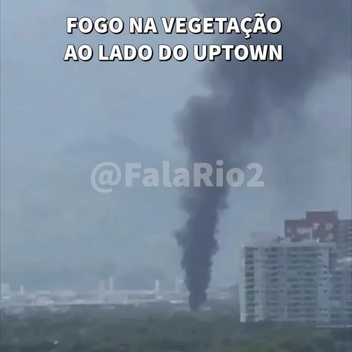 FOGO NA VEGETAÇÃO - UPTOWN