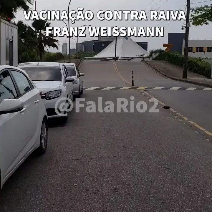 VACINAÇÃO CONTRA RAIVA - Franz Weissmann