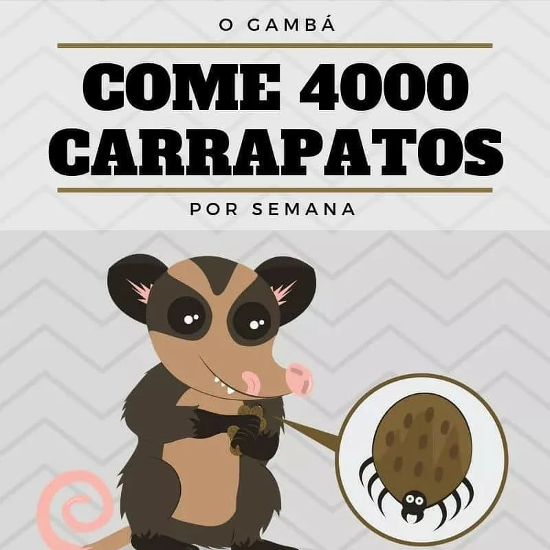 PROTEJA OS GAMBÁS