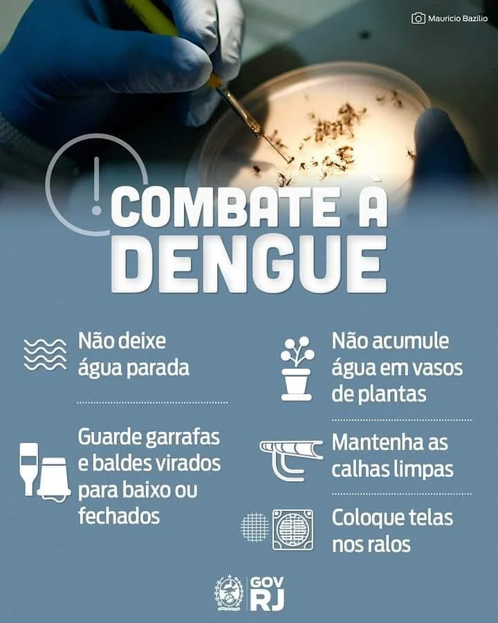 QUEDA NOS CASOS DENGUE