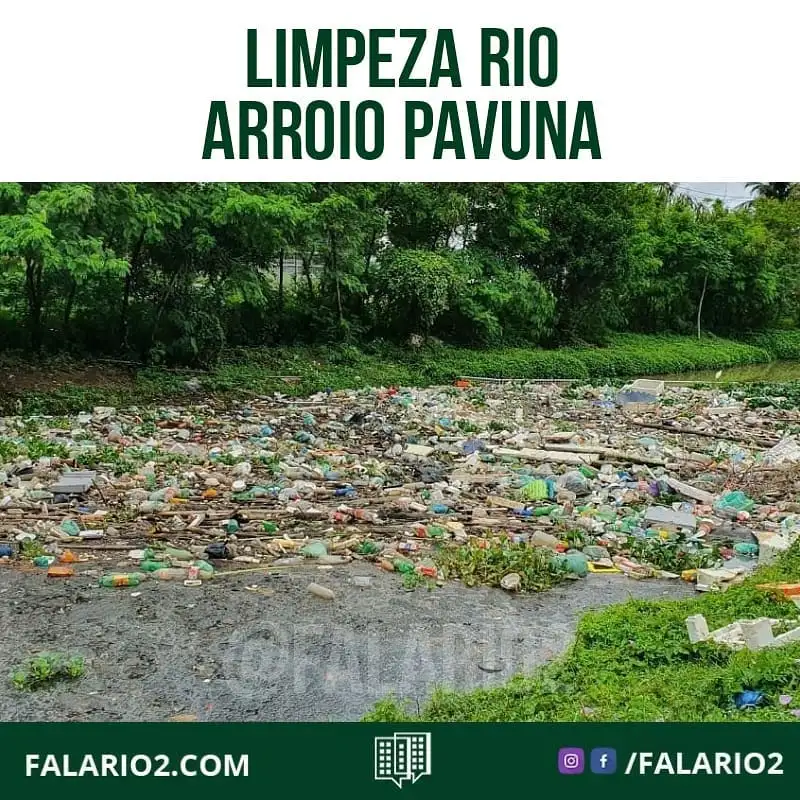 Uma equipe do INEA está presente no Arroio Pavuna para realizar a limpeza do local.⁣