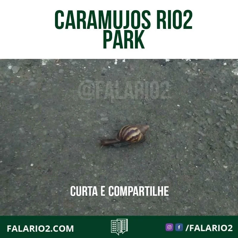 "Assim que entra na primeira entrada do rio 2, na ciclovia que fica virada pra Abelardo Bueno