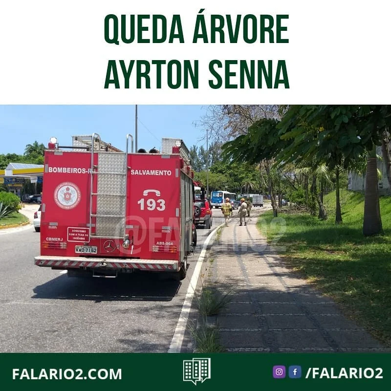 13:04 AV AYRTON SENNA  QUEDA DE ÁRVORE ocupa 2 faixas do sentido orla, na altura do Giro do Cebolão.