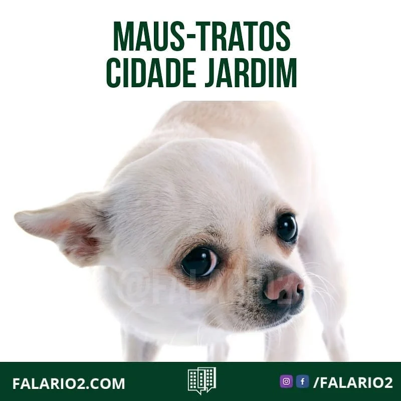 "Hj por volta de 09:30/10:30 escutei uns latidos e uns sons de alguém batendo com algum objeto, parecendo que estava