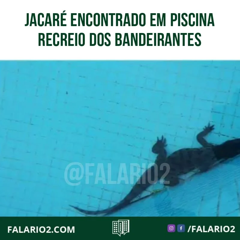 Os dias de forte calor no Rio deram uma trégua neste fim de semana, mas um habitante do Recreio dos Bandeirantes aproveitou