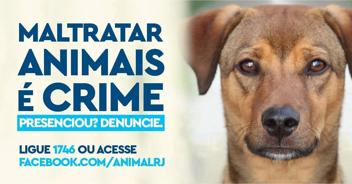 Respeito é bom e todo mundo gosta.