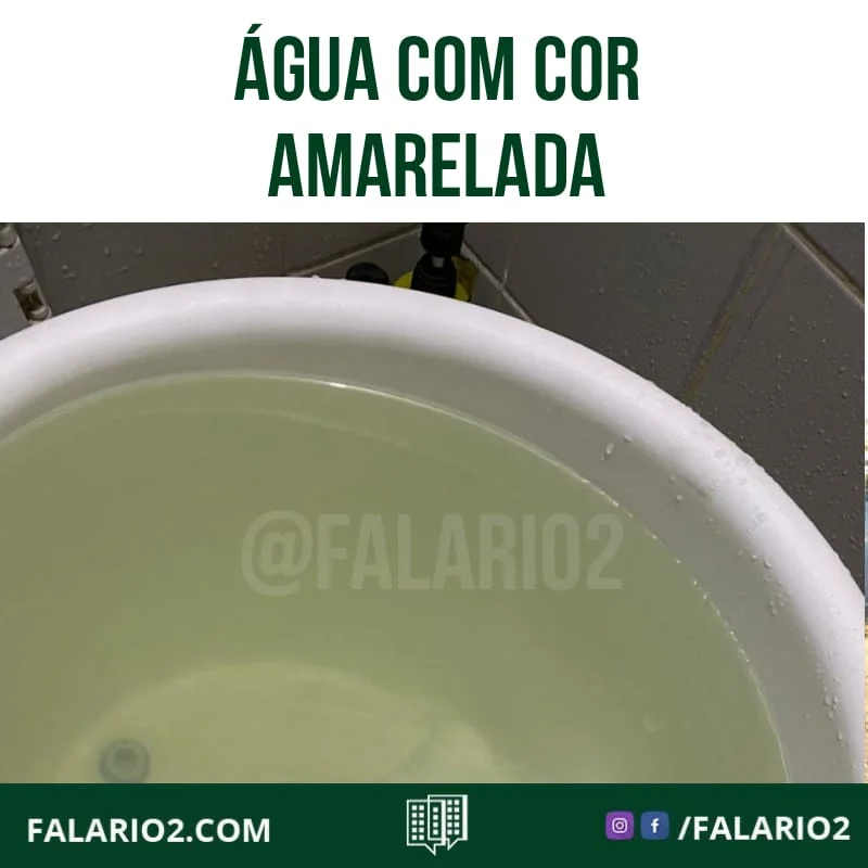 02/02 - "Pessoal, fui dar banho na minha filha.