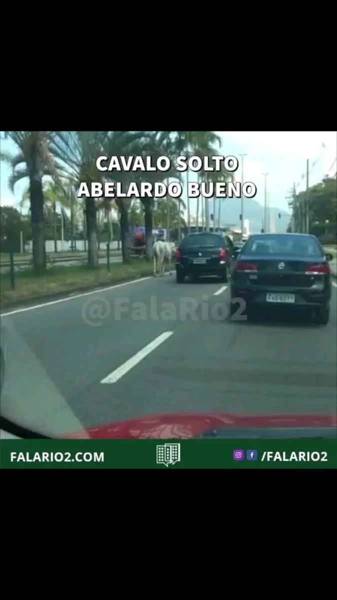 ALGUÉM PODE AJUDAR?