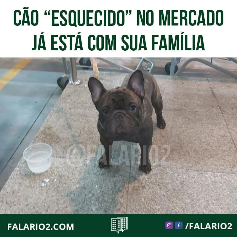 A dona do animal passou mal.
