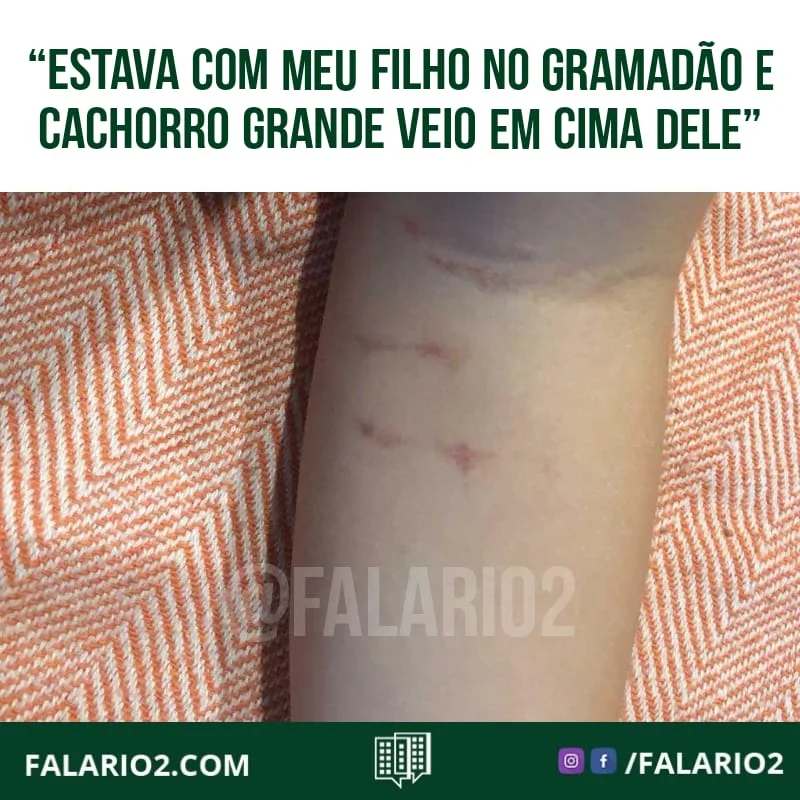 "Estava há pouco com meu filho no Gramadão - em frente ao Marista - e um cachorro grande veio em cima dele