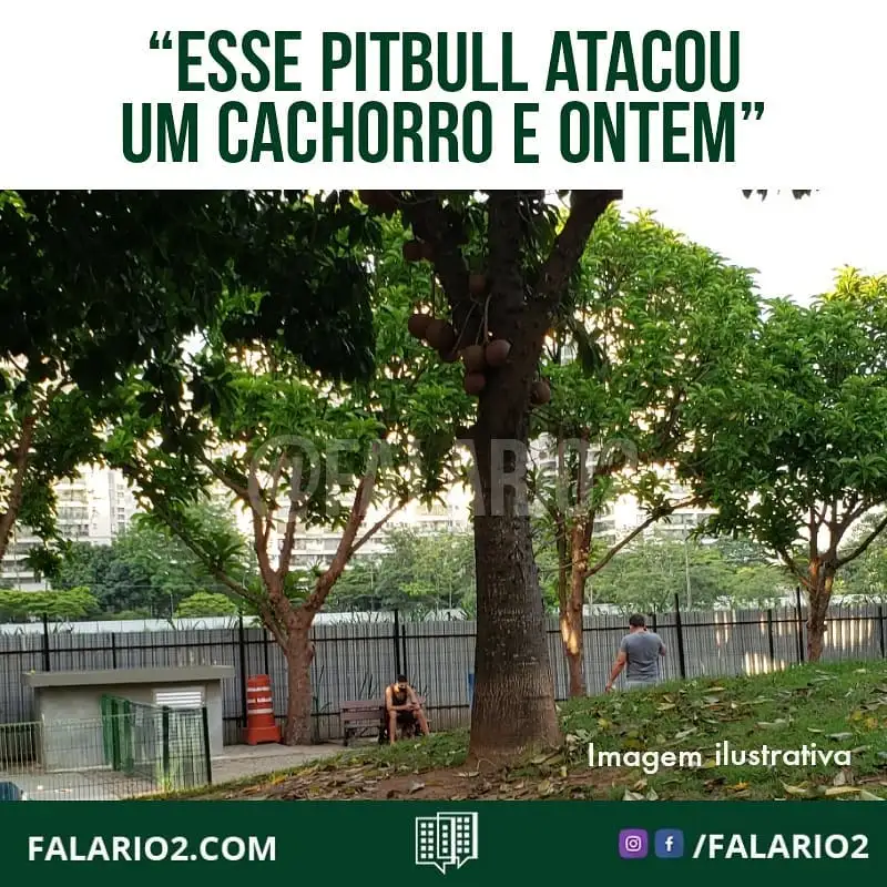 "Há uma pessoa sem noção que leva o cachorro pitbull que não é amigável, dócil, manso, calmo e etc ao parCão.