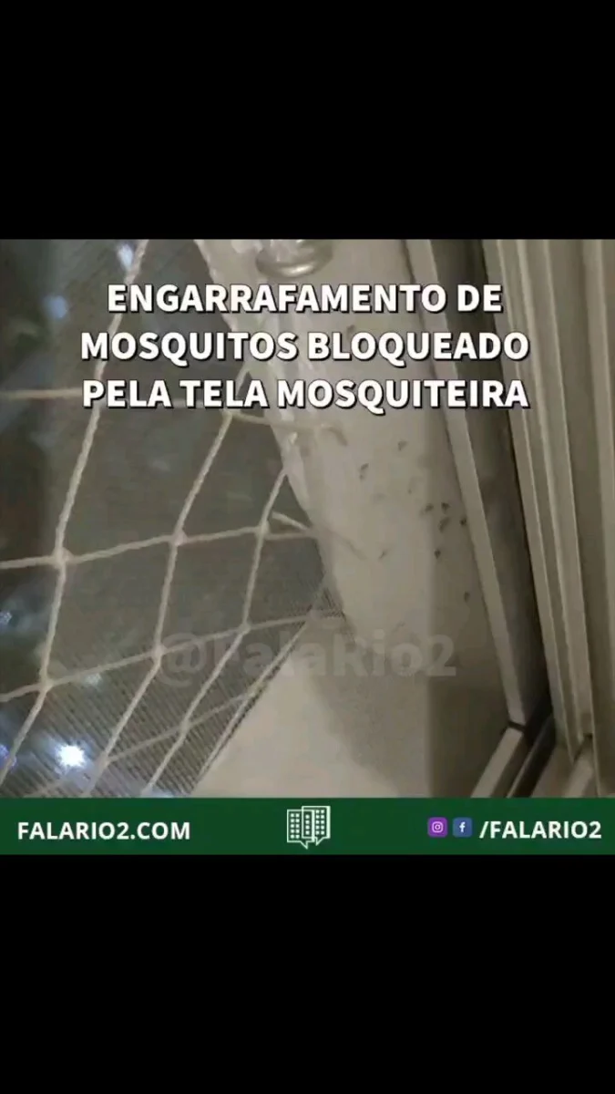 Registro enviado poruma vizinha da Alfredo Ceschiatti (Rio2).