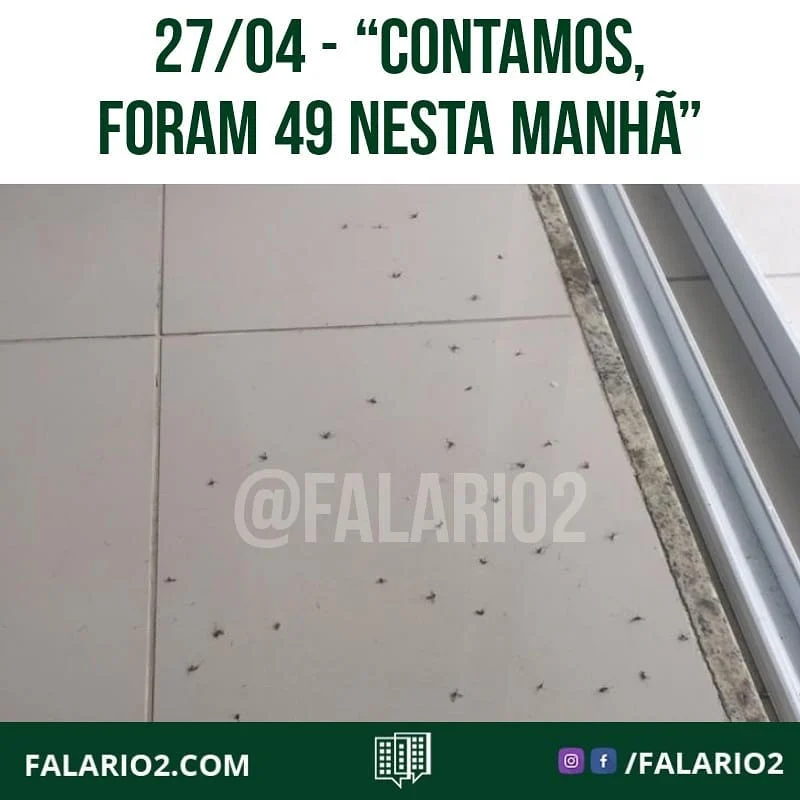 "Moro na Jaime Poggi, todos os dias de manhã é assim!!