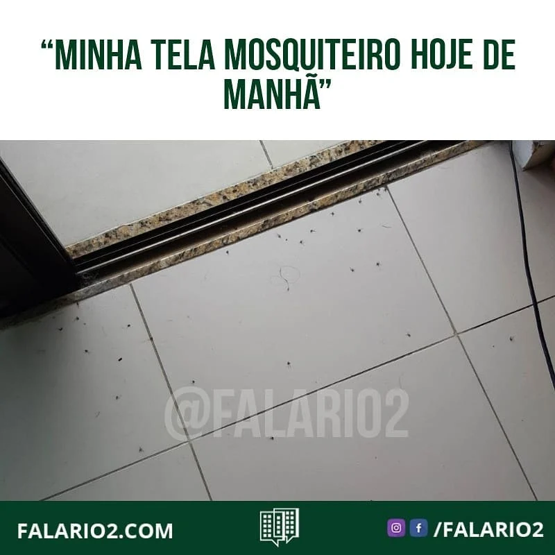 Nossa vizinha do Green Park enviou esse registro.