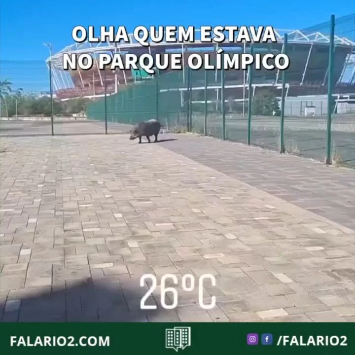 Será que alguém pode ajudá-lo?