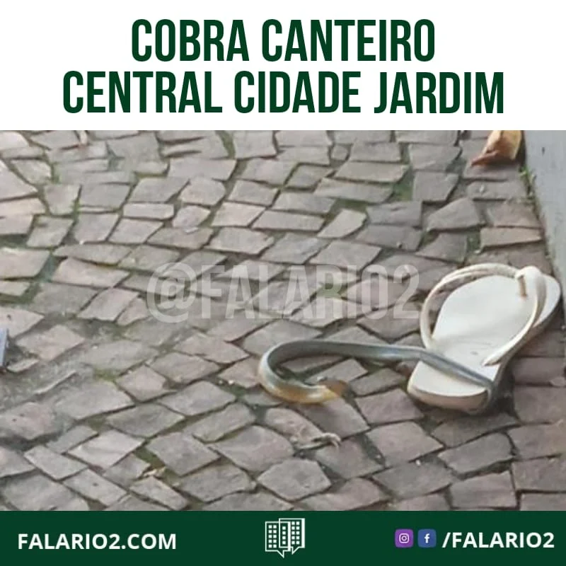 30/04 - 16:30 "Cobra no cidade Jardim