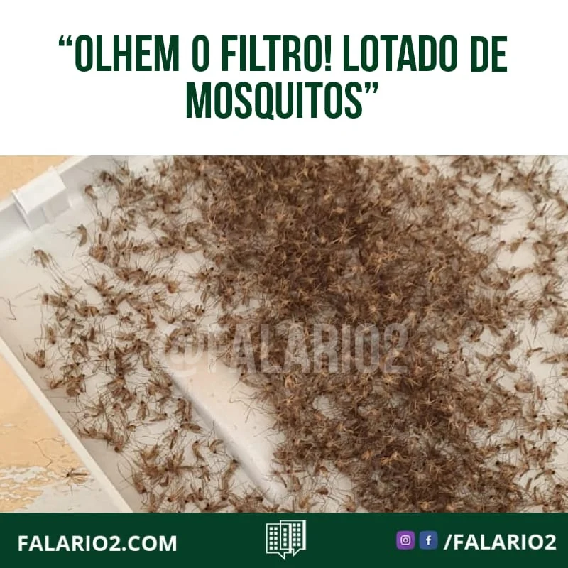 "Pessoal, um vizinho do Green Park comprou e compartilhou a experiência