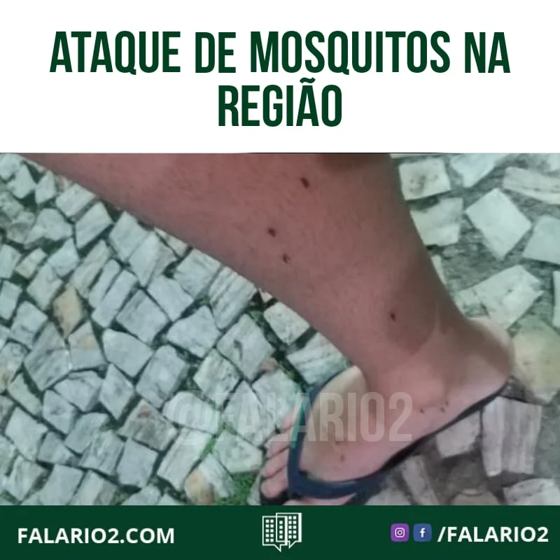 Se estivessemos vivendo um filme e sendo atacados por mosquitos, QUAL SERIA O NOME DO FILME?