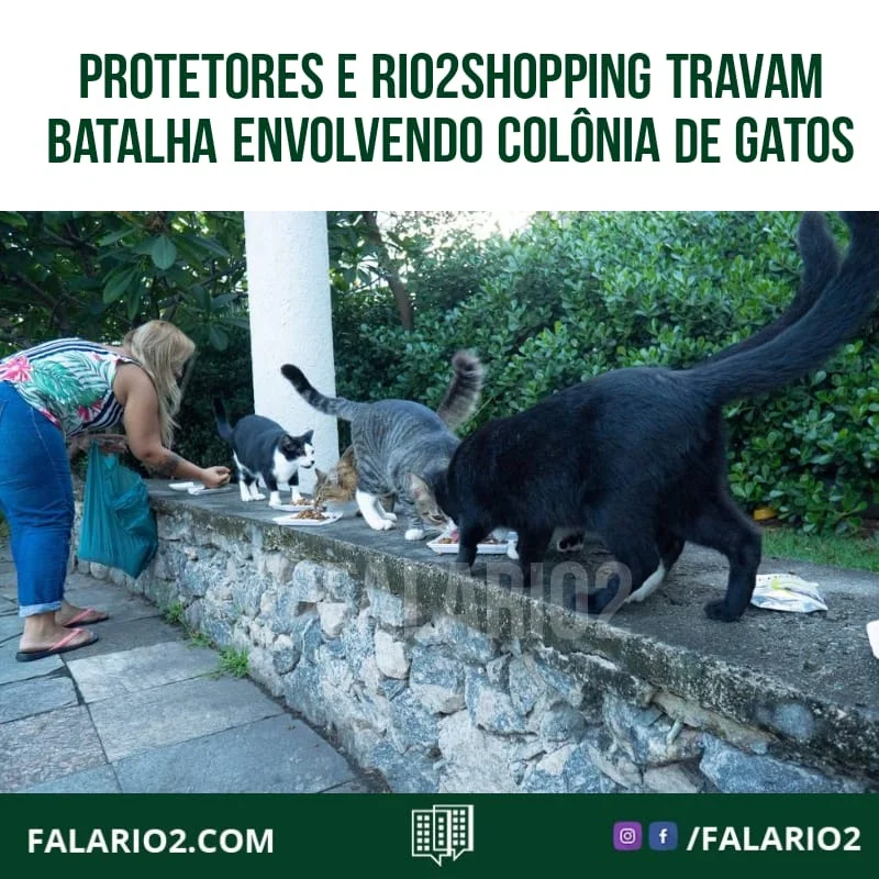 Um impasse envolvendo uma colônia de cerca de 30 gatos no condomínio Rio2, em Jacarepaguá, vem tirando o sossego dos