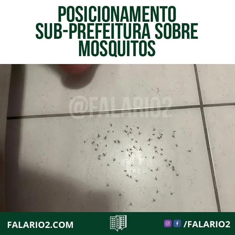 "Estamos fazendo a limpeza e a dragagem dos rios que são no entorno do Rio 2  e outros condomínios.