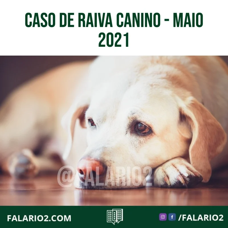 Em decorrência de um caso de raiva canino, em maio de 2021, ocorrido na Região Metropolitana do estado do Rio de Janeiro,