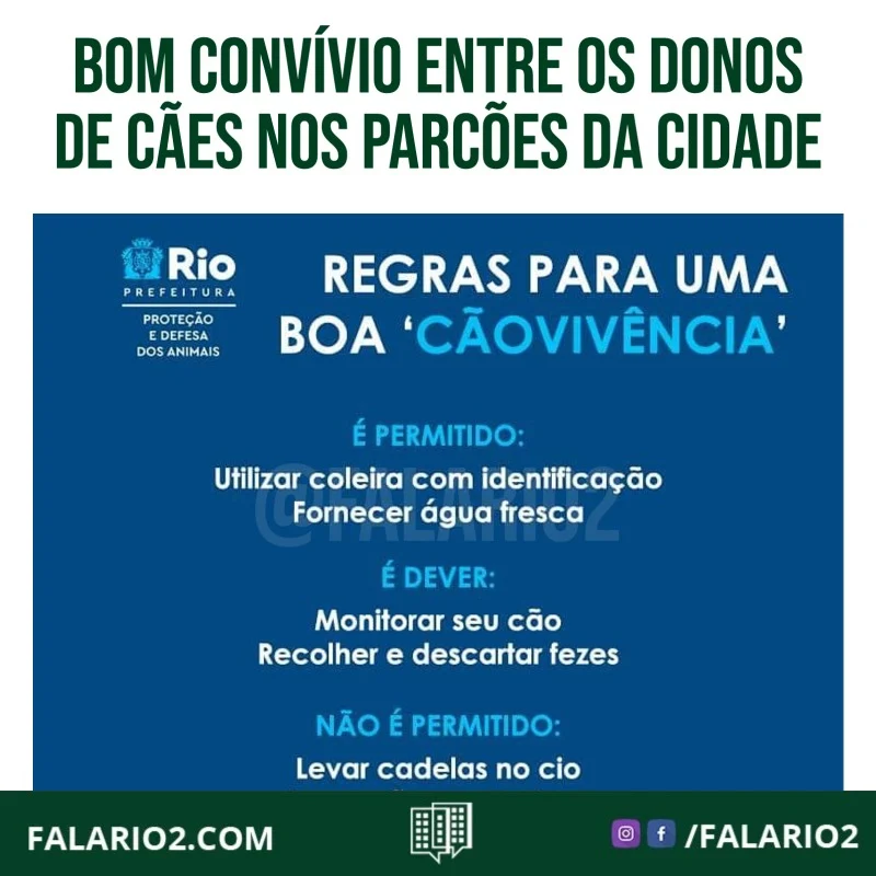 A SMPDA está promovendo uma campanha inédita, incentivando o bom convívio entre os donos de cães nos parcões da cidade.