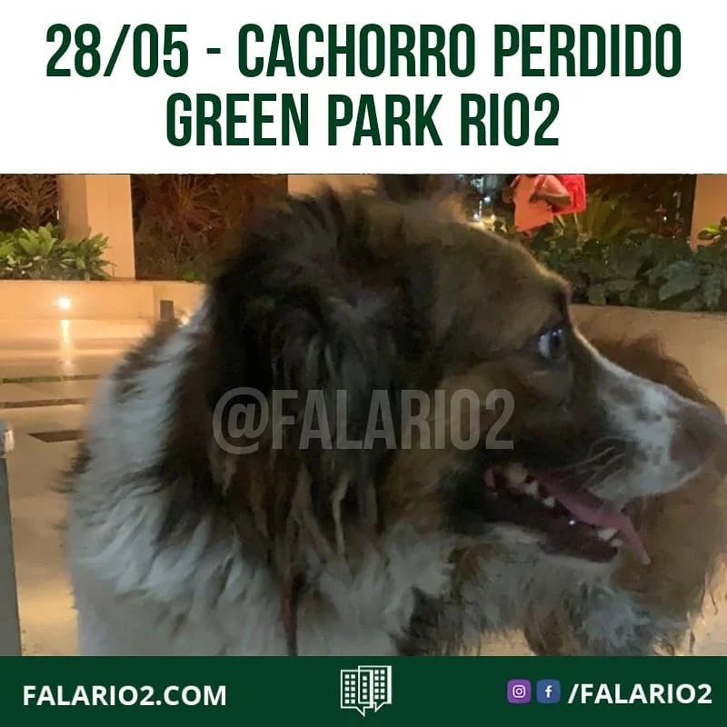 "Cachorro perdido aqui dentro do Green Park ...