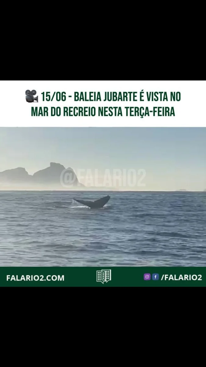 Uma baleia jubarte foi vista no mar do Recreio, na Zona Oeste do Rio, na manhã desta terça-feira (15).