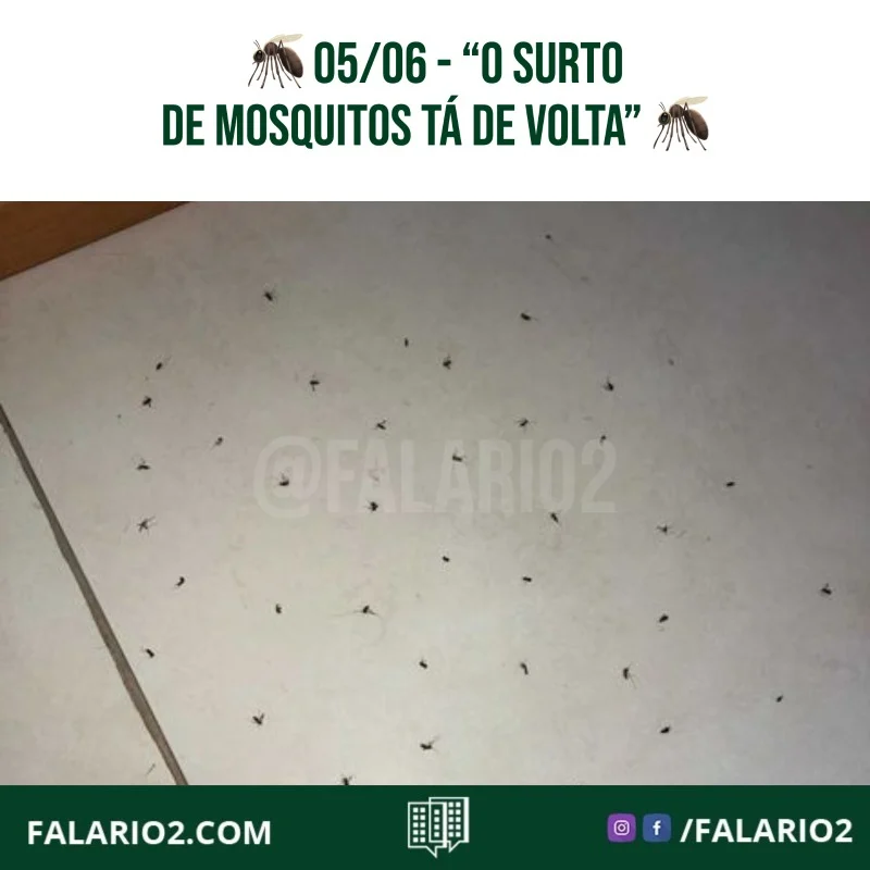 "Sou da Francisco de Paula e tô passando pra registrar que realmente o surto de mosquitos tá de volta (e como nunca!).