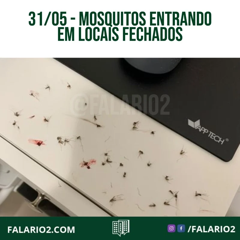 23:55 - "Foto de agora dentro do meu quarto tudo fechado, tela e vidro.