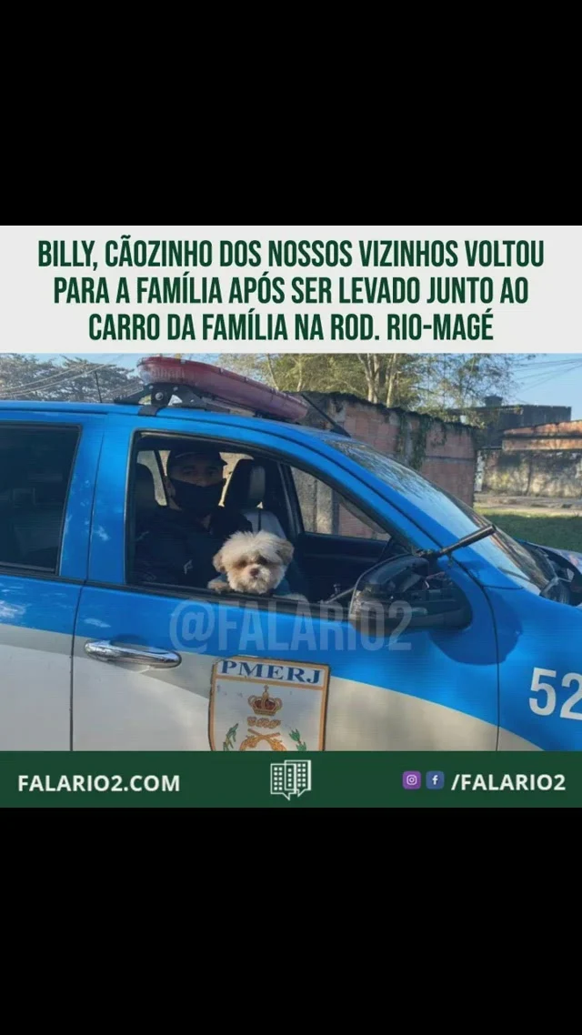 Animal foi levado na quinta-feira (22), após ser levado por criminosos em um carro na Rodovia Rio-Teresópolis.