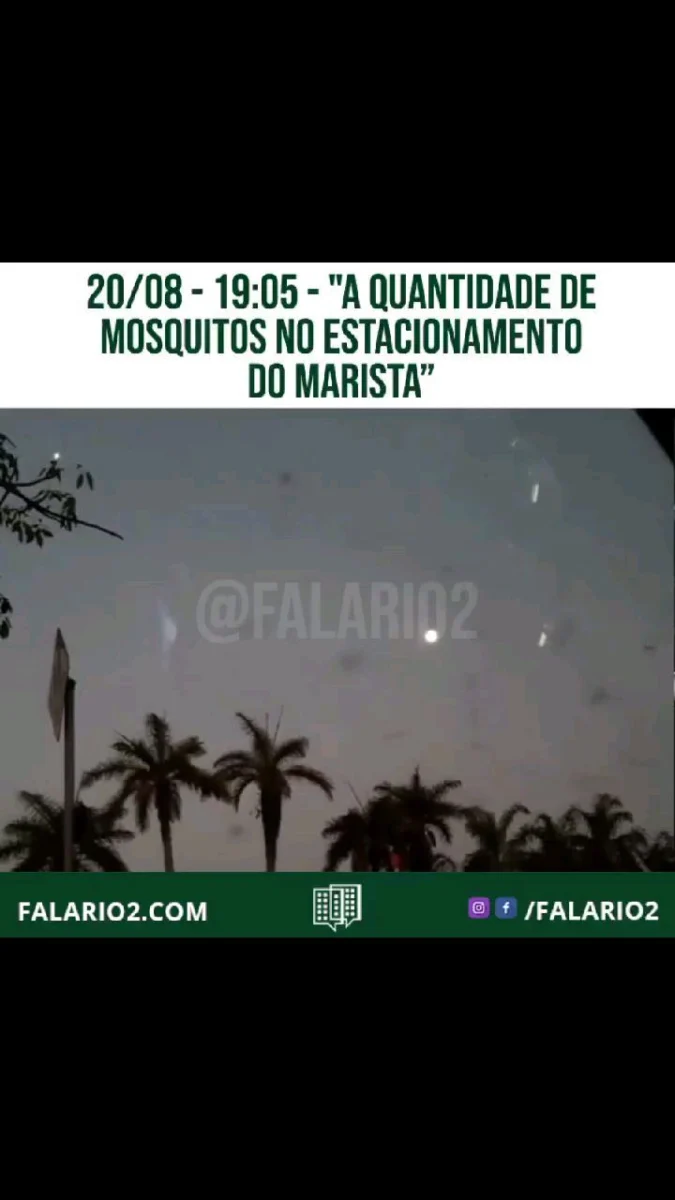 20/08 - Vídeo enviado por um vizinho na noite do dia 20/08 mostrando a quantidade de mosquito na região.