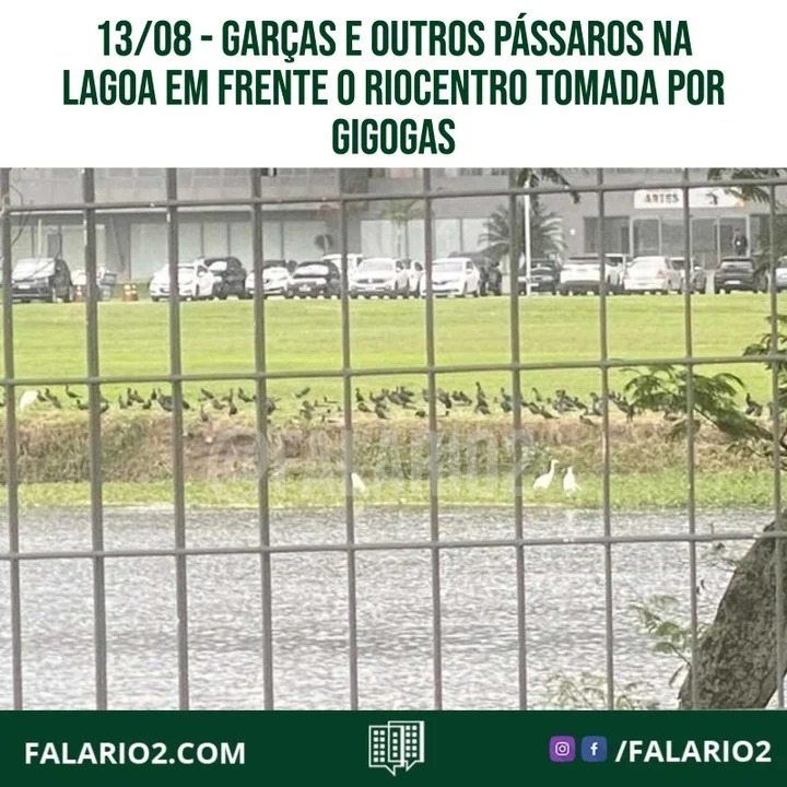 Na última semana, postamos fotos da lagoa em frente ao Parque Olímpico com centenas de peixes m0rtos.