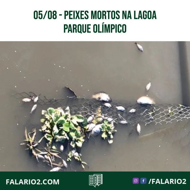 Há 1 semana, recebemos um vídeo gravado por um vizinho na lagoa (Parque Olímpico) onde os peixes estavam com a cabeça para