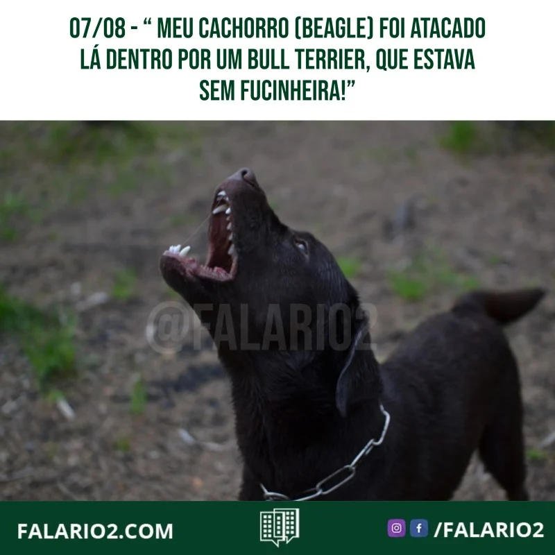 "Gostaria de expressar aqui com vcs, o susto que tomei hj no parcão, quando meu cachorro (Beagle) foi atacado lá dentro por