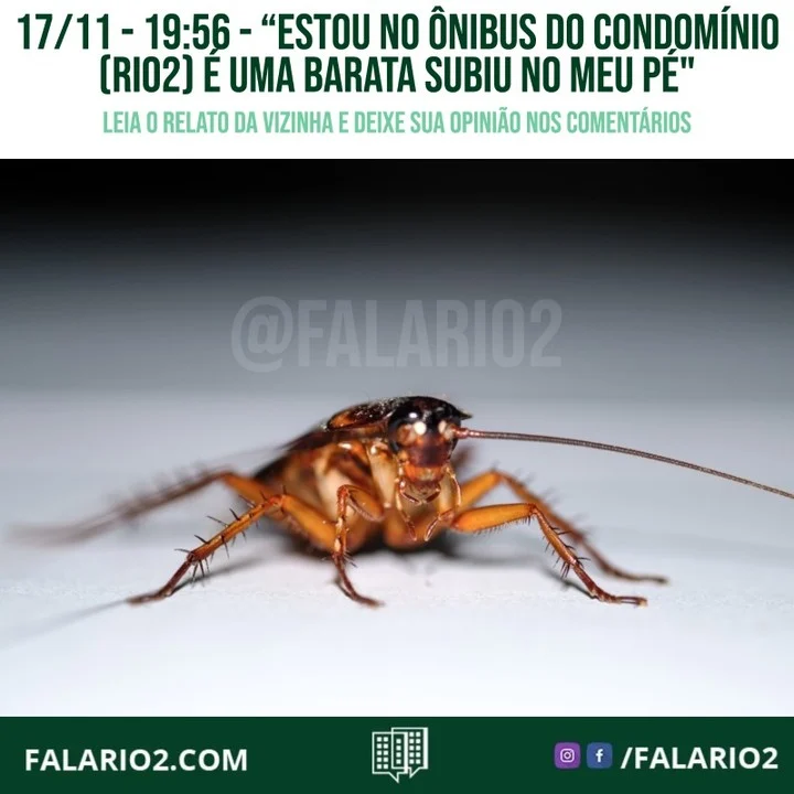 "Estou no ônibus do condomínio (Rio2) é uma barata subiu no meu pé.
