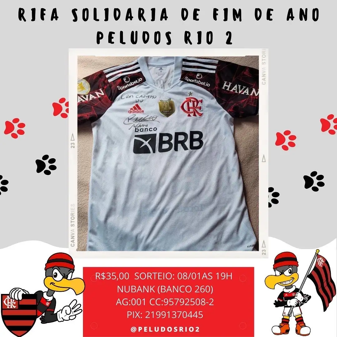 Olá amigos !