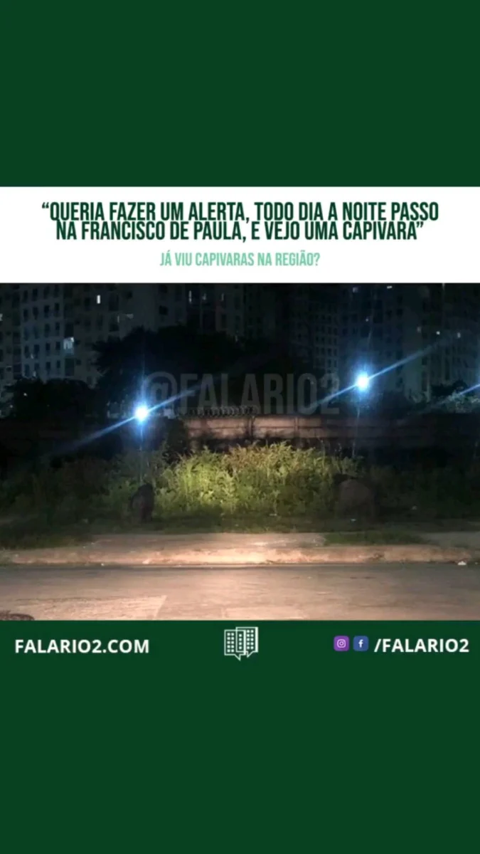 Queria fazer um alerta, todo dia a noite passo na Francisco de Paula, e vejo uma capivara.