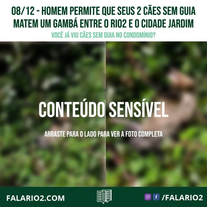 "Homem que andava com dois Shiba inu SEM A GUIA, no caminho entre o Rio 2 e o Cidade Jardim permite que seu animais matem um
