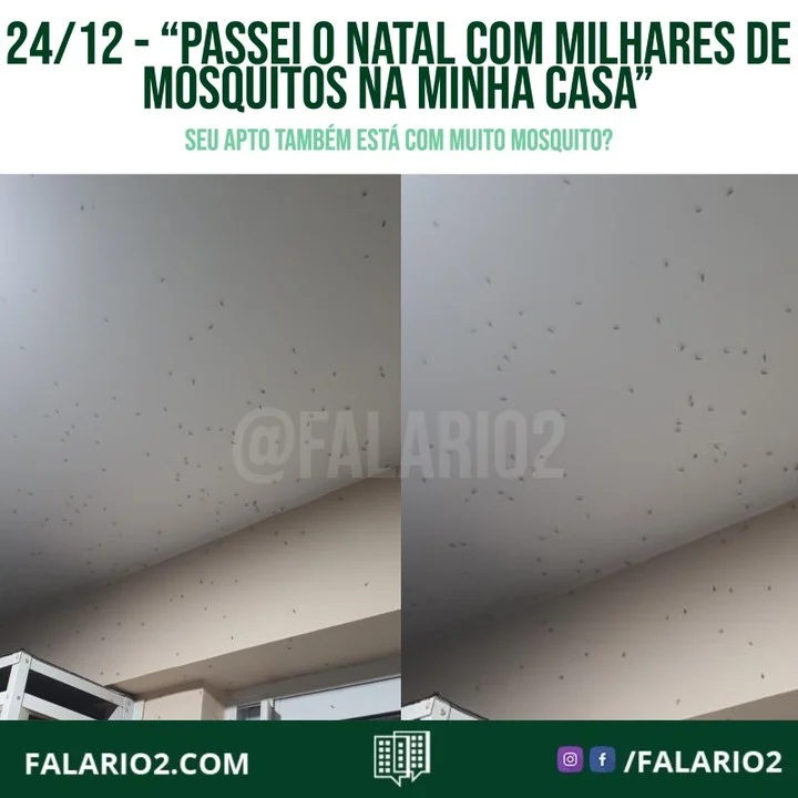 "Precisamos divulgar e cobrar providências da Subprefeitura de Jacarepaguá e da Talita , inadmissível pagar 3 mil reais de