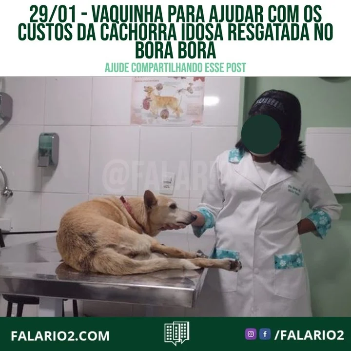 "Vizinhos essa é uma vaquinha online pra esta ajudando a cadelinha perdida q entrou ontem no condominio borabora